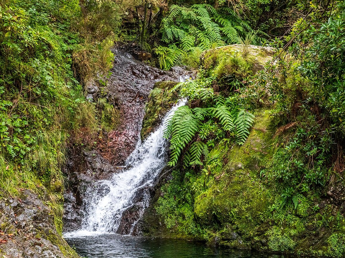 Ribeiro Frio, cascata e floresta laurissilva